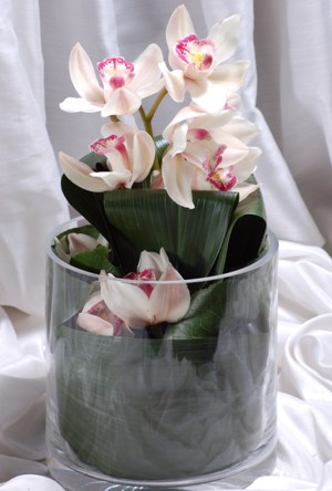  internetten iek siparii  Cam yada mika vazo ierisinde tek dal orkide