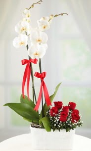 2 dall beyaz orkide ve 7 krmz gl  Polatl Ankara hediye iek yolla 