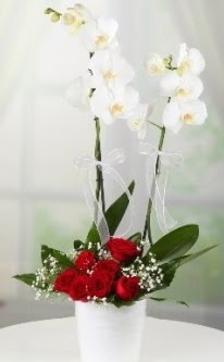 2 dall beyaz orkide 7 adet krmz gl  14 ubat sevgililer gn iek 