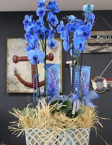 4 dall zel mavi orkide  Polatl iek siparii vermek 