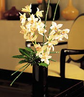  Polatldaki iekiler  cam yada mika vazo ierisinde dal orkide