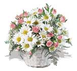 pembe güller ve krizantemler   Polatlı çiçek online çiçek siparişi 