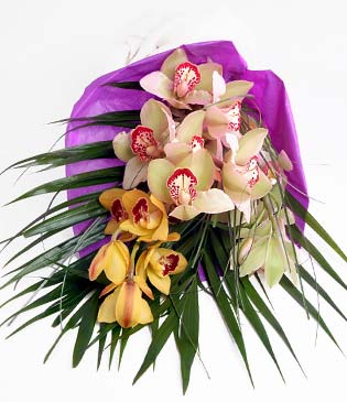  cicekciler , cicek siparisi  1 adet dal orkide buket halinde sunulmakta