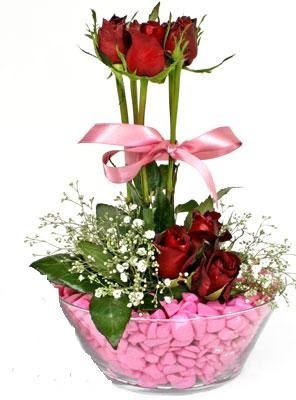  Ankara Polatlı İnternetten çiçek siparişi  SEVIYORUM DIYENLER 7 kirmizi gül tanzim
