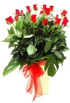 Vazoda 15 adet kırmızı gül  Ankara Polatlı online çiçek gönderme sipariş 