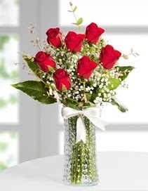Cam vazoda 7 adet kırmızı gül  Polatlı Ankara çiçek , çiçekçi , çiçekçilik 
