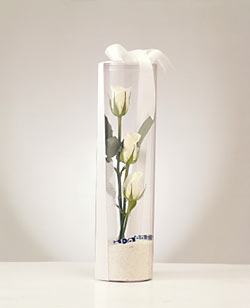  Polatlıda çiçek firması çiçek gönderme  Nazar boncuklu 3 beyaz gül