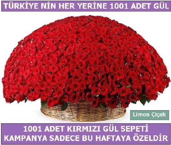 1001 Adet kırmızı gül Bu haftaya özel  Ankara Polatlı İnternetten çiçek siparişi 