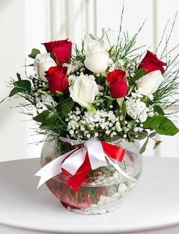 Aşk Küresi  5 beyaz 5 kırmızı gül fanusta  Polatlı internetten çiçek satışı 