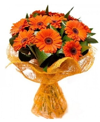 11 adet turuncu gerbera buketi  Polatlıdaki çiçekçiler 